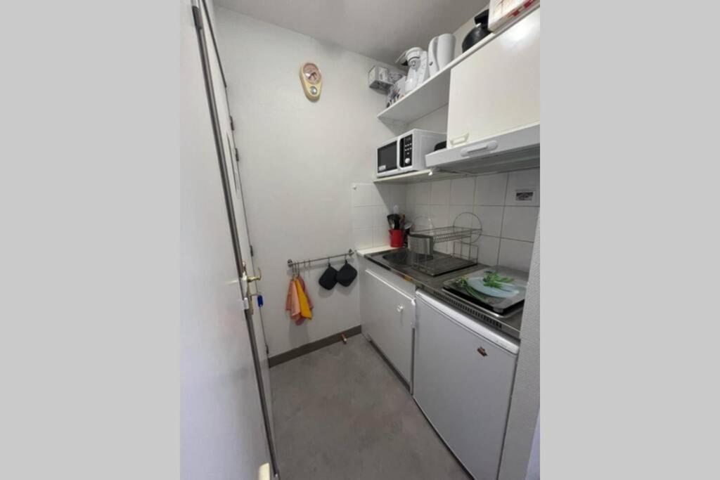 Ferienwohnung Les Oiseaux T2 Le Mont-Dore Exterior foto