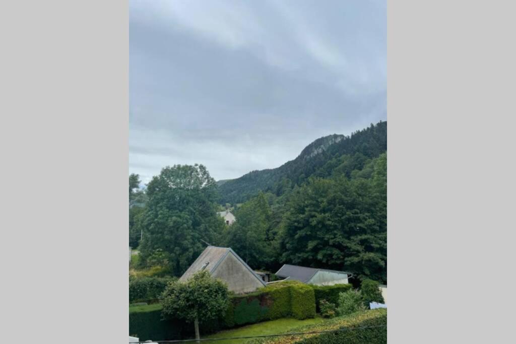 Ferienwohnung Les Oiseaux T2 Le Mont-Dore Exterior foto